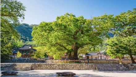 가을철 안전 산행 꼭 지켜야 할 4가지