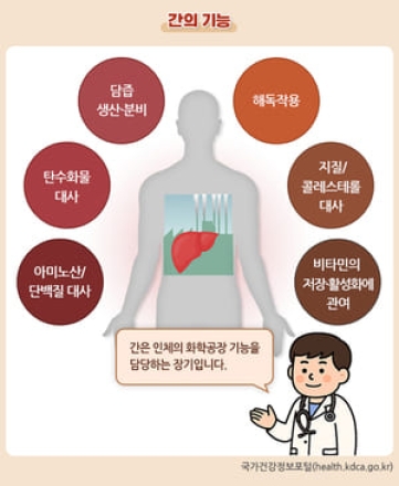 12월 '연말, 간 건강 지키는 생활수칙'