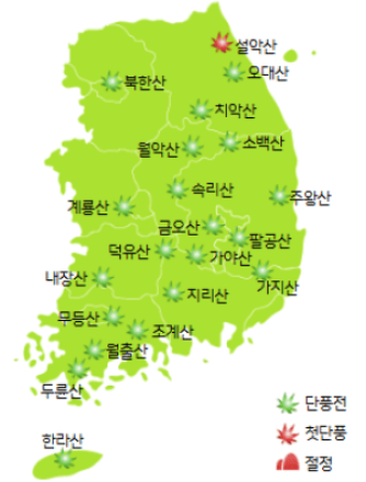 10월 28일, 설악산 첫 단풍...인터넷 실시간 영상 확인